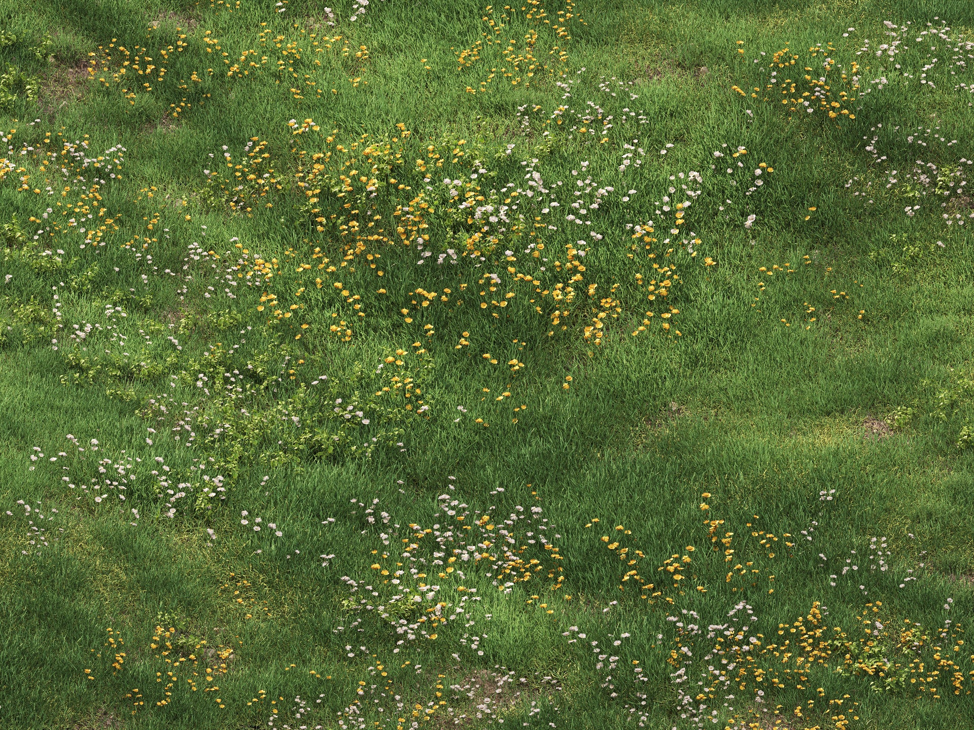 GR10 | NM-Lab System™