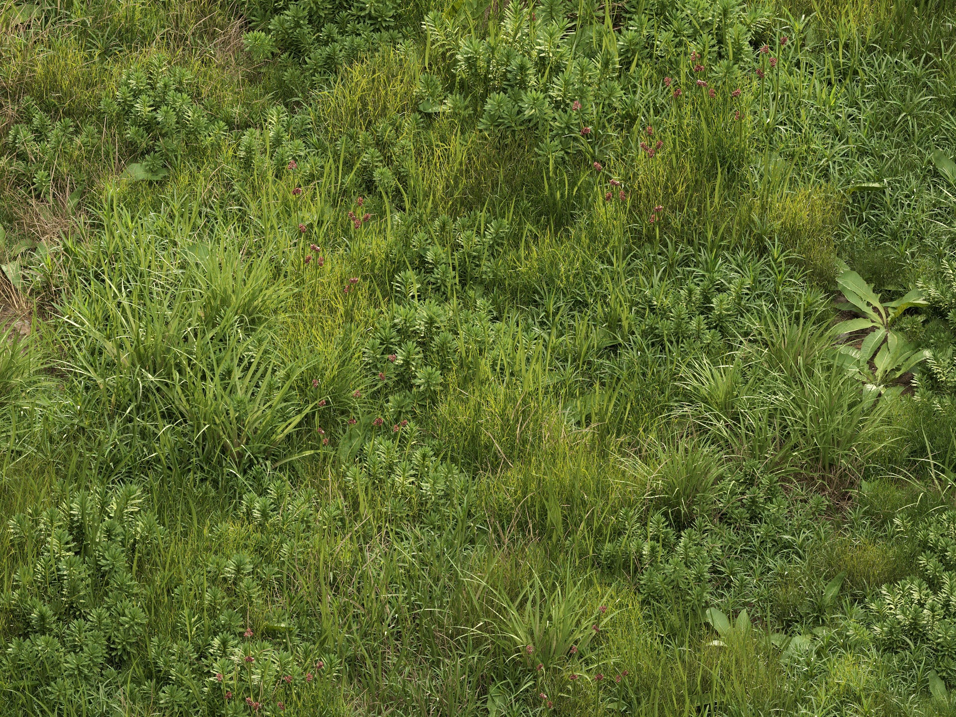 GR09 | NM-Lab System™