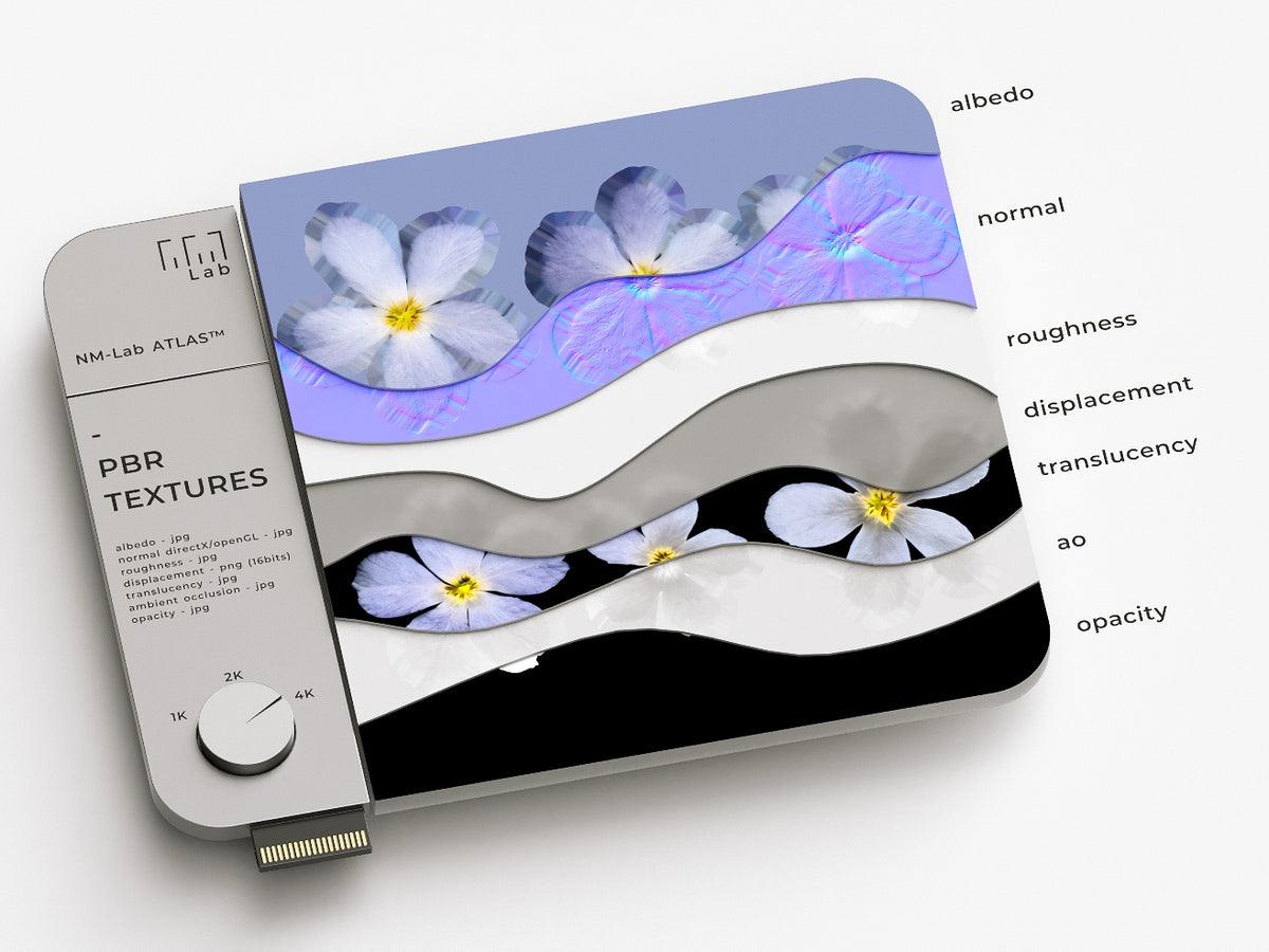 Flowers 660 18A1 - Nouvelle Mesure Lab