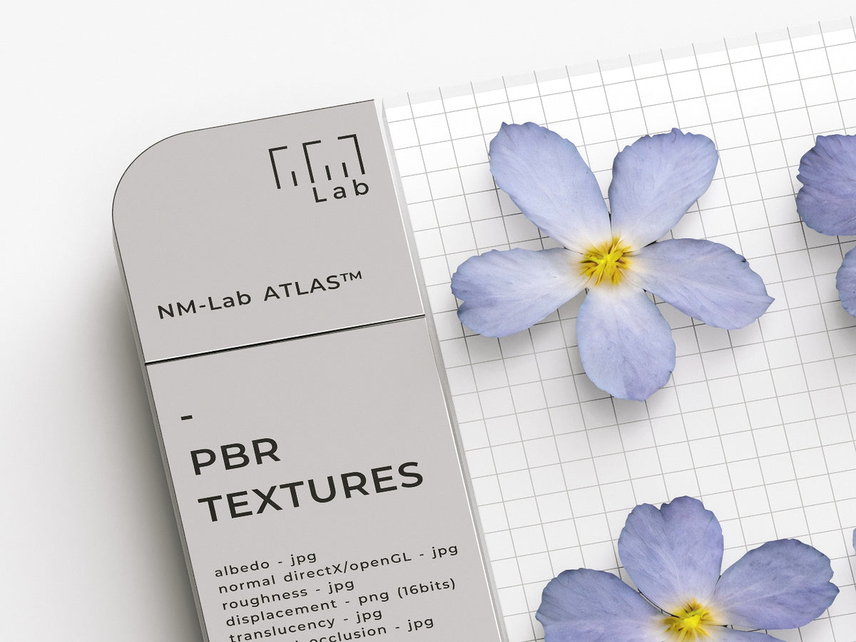 Flowers 660 18A1 - Nouvelle Mesure Lab