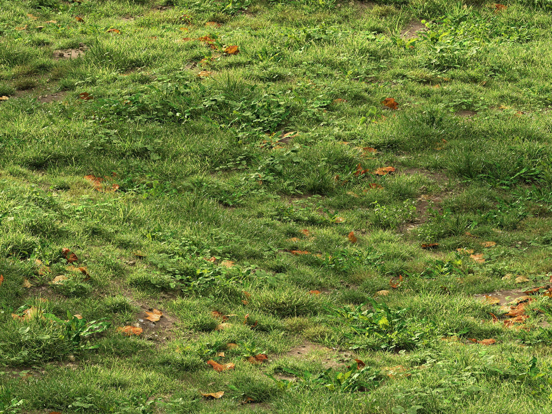 GR06 | NM-Lab System™