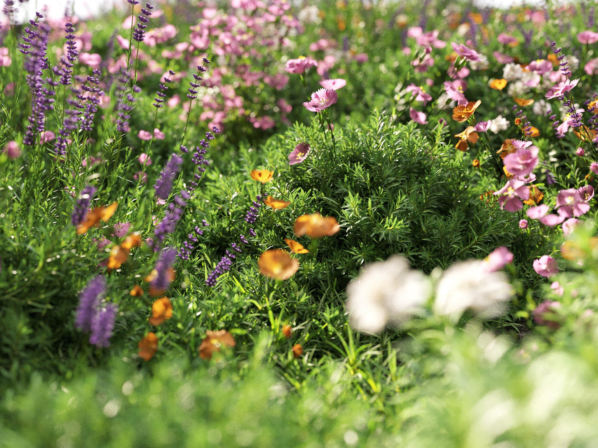 GR07 | NM-Lab System™