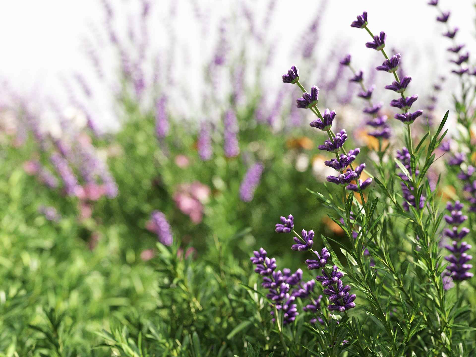 GR07 | NM-Lab System™