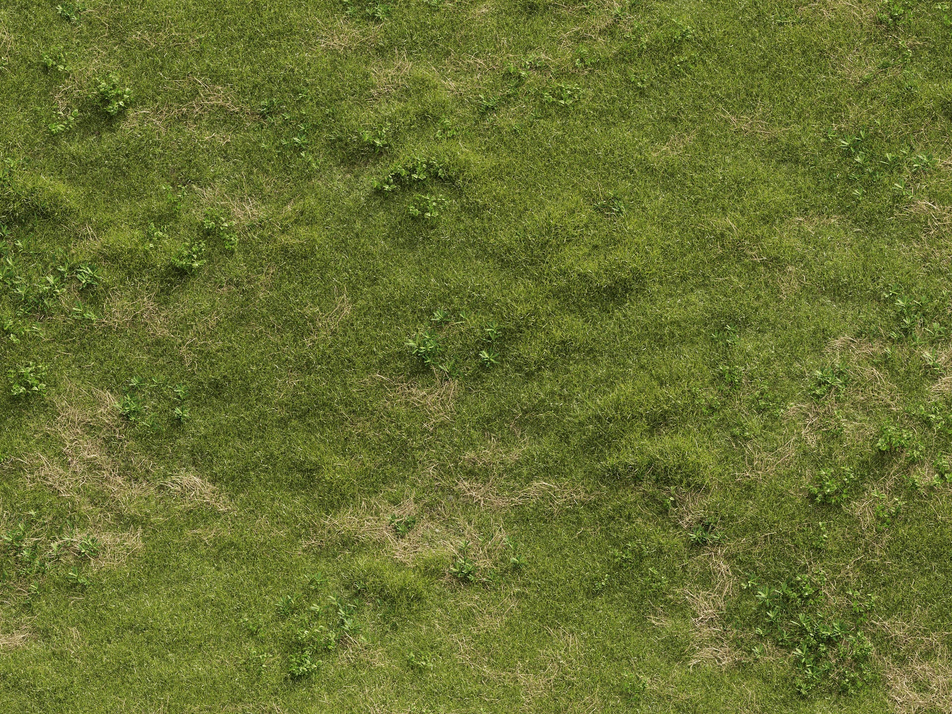 GR08 | NM-Lab System™