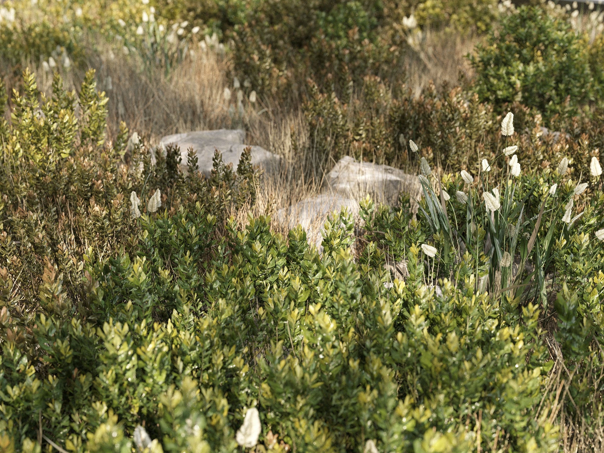 GR03 | NM-Lab System™