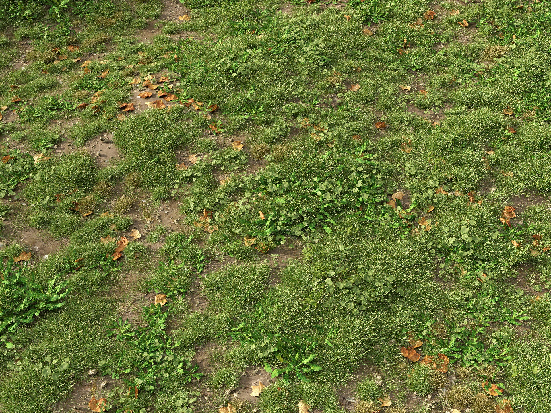 GR06 | NM-Lab System™