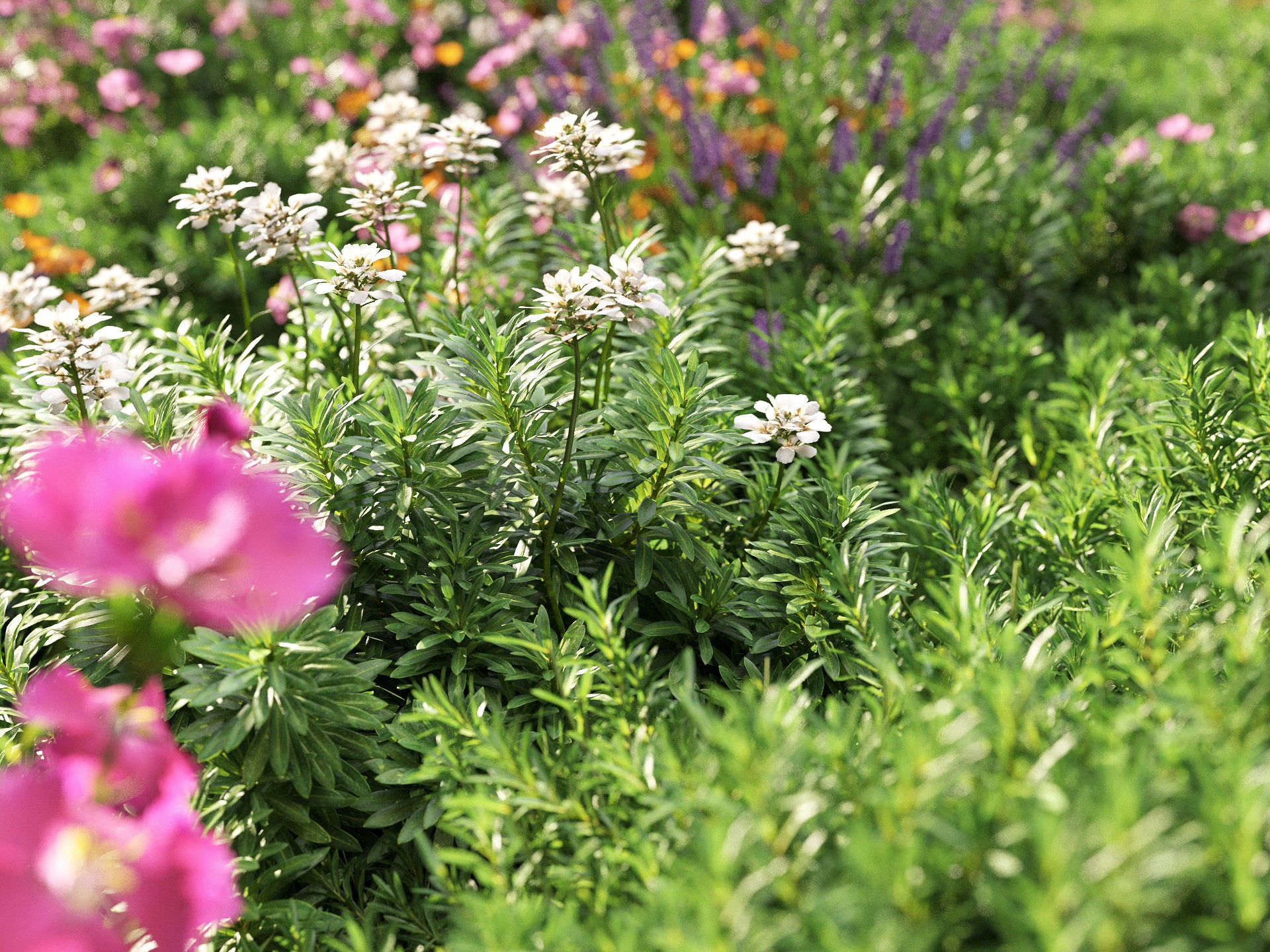 GR07 | NM-Lab System™