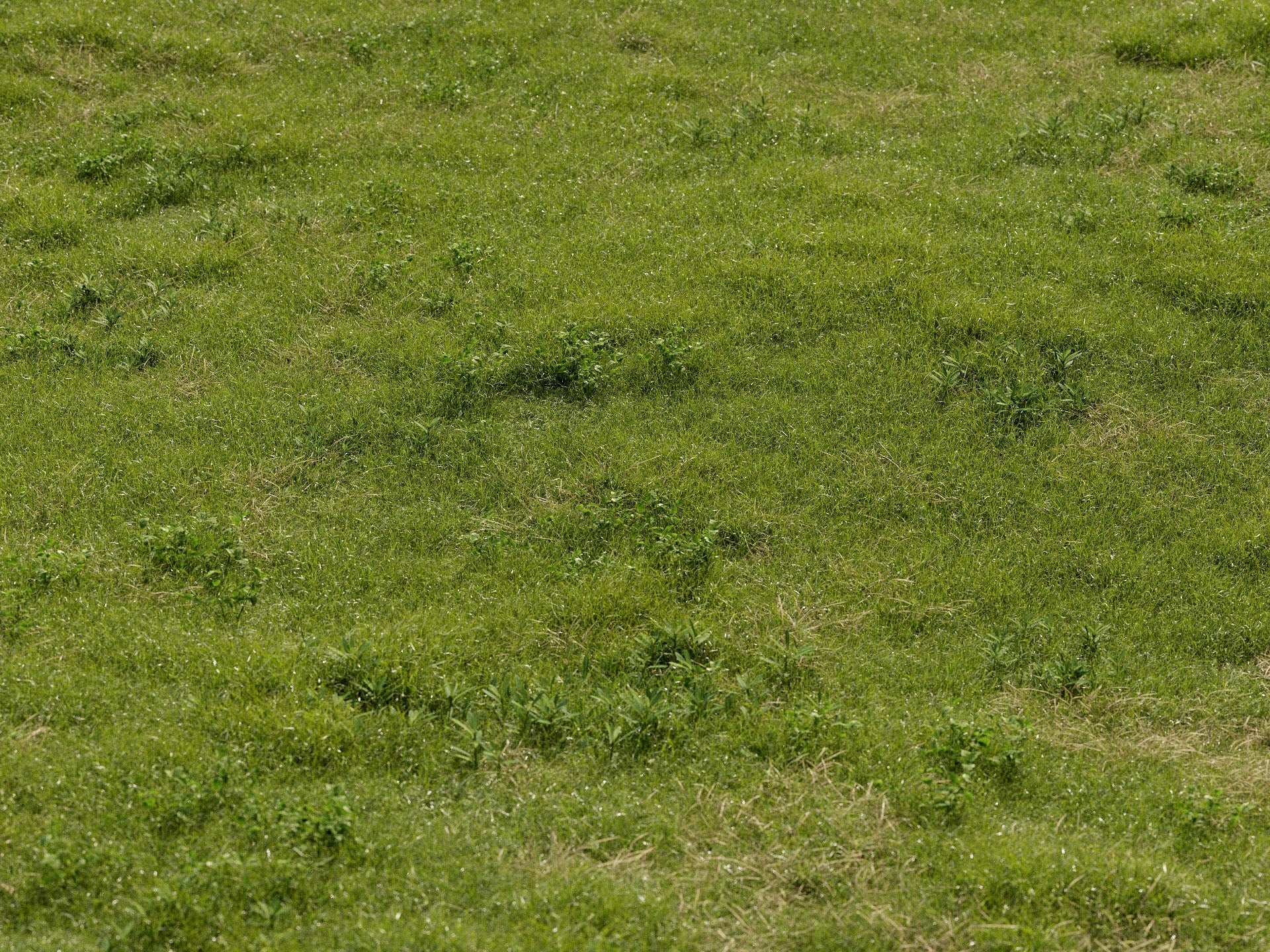 GR08 | NM-Lab System™