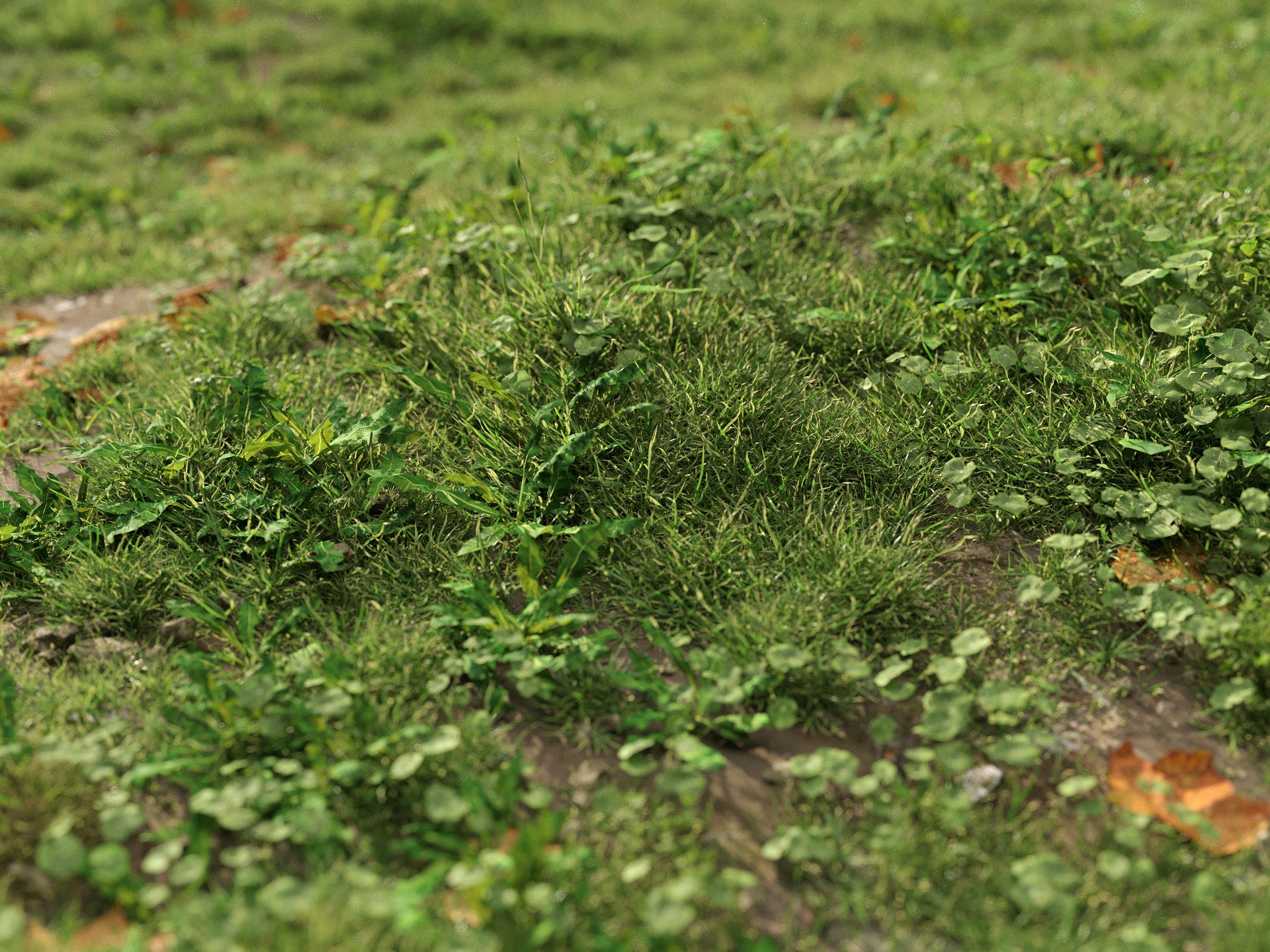 GR06 | NM-Lab System™