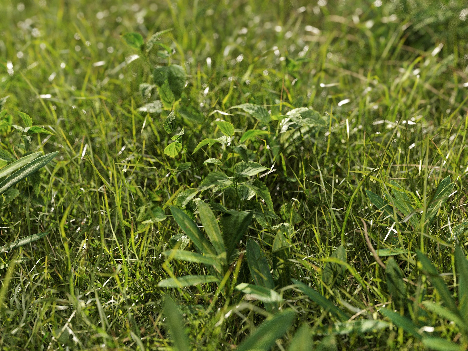 GR08 | NM-Lab System™