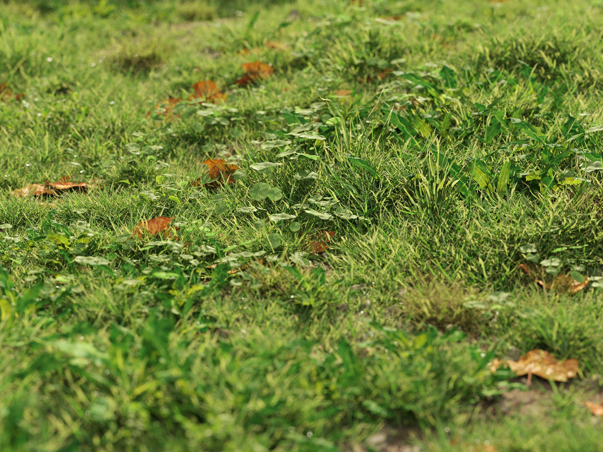 GR06 | NM-Lab System™