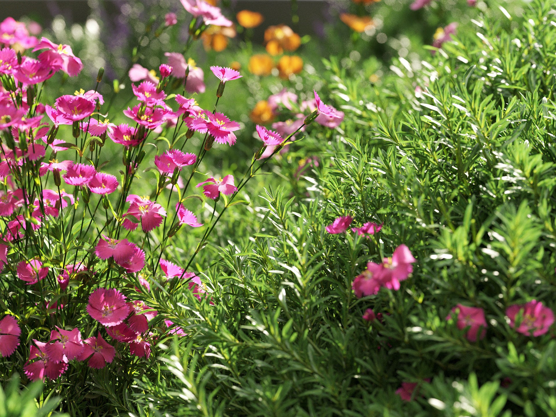 GR07 | NM-Lab System™