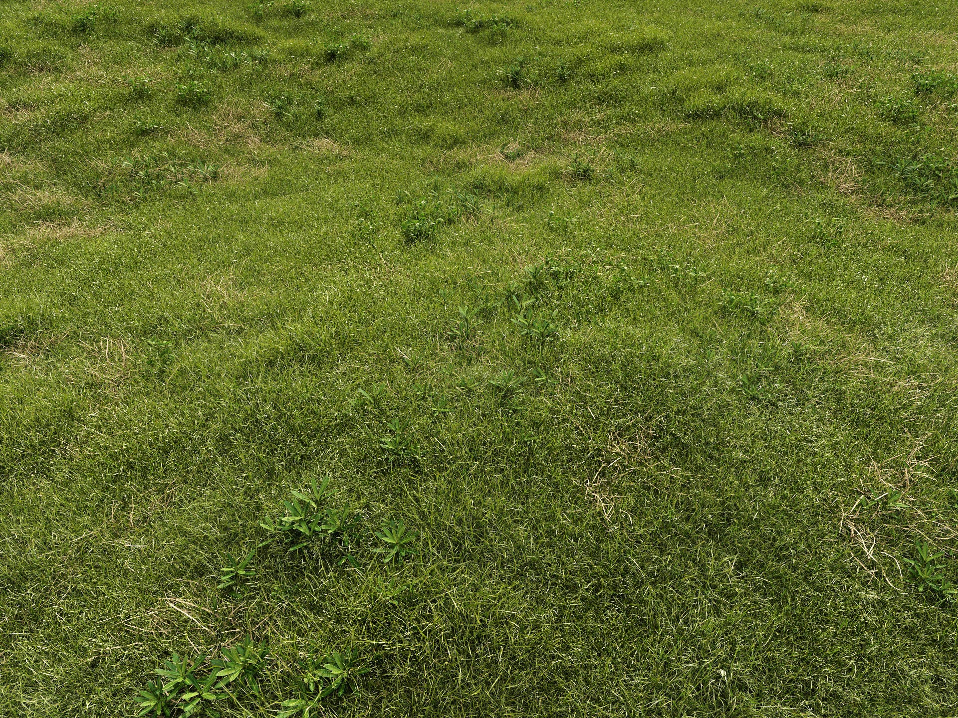 GR08 | NM-Lab System™