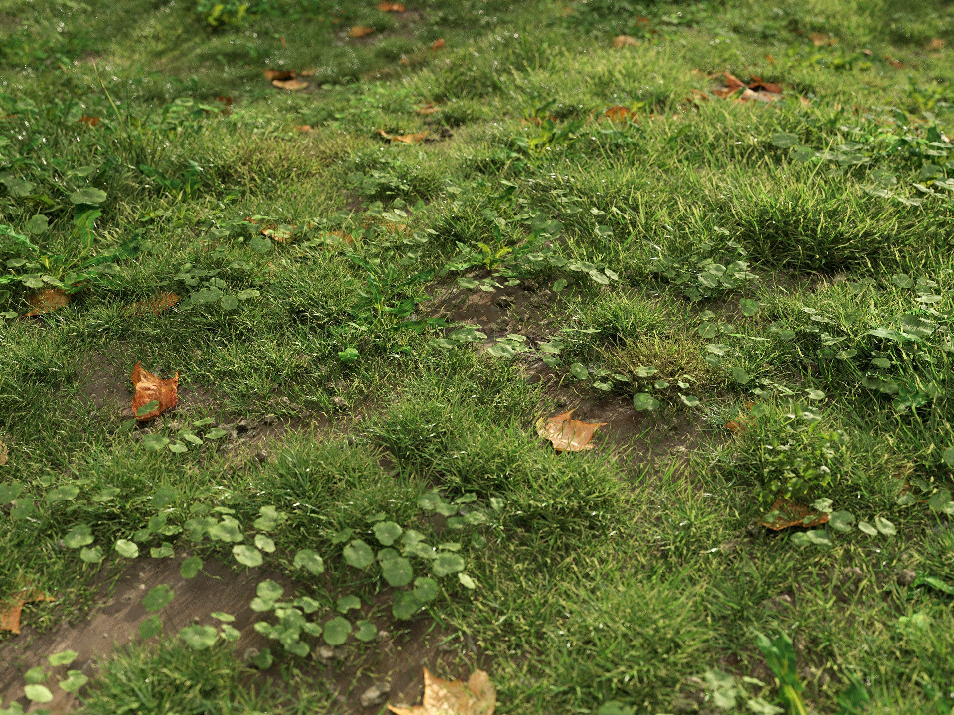 GR06 | NM-Lab System™