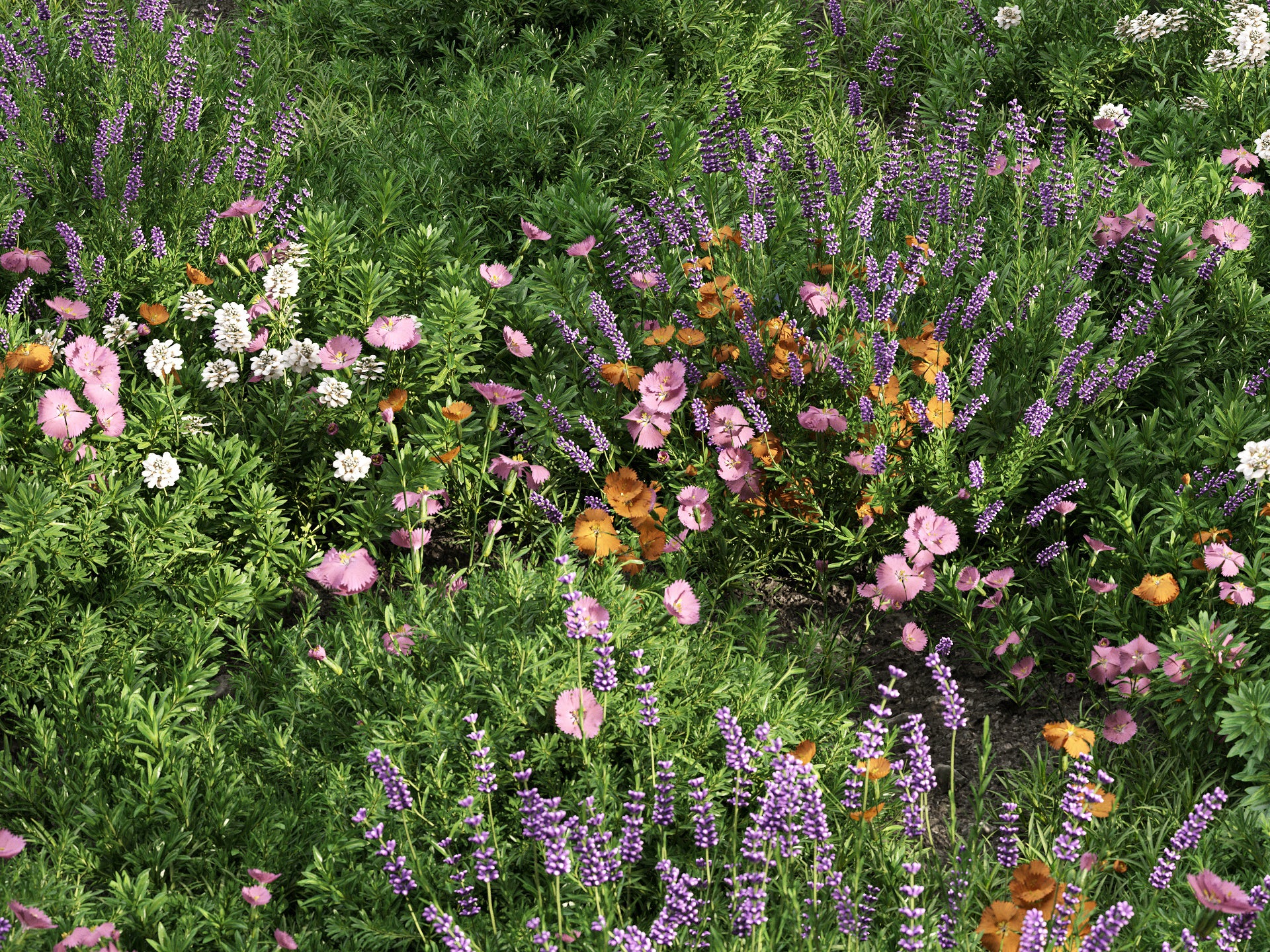 GR07 | NM-Lab System™