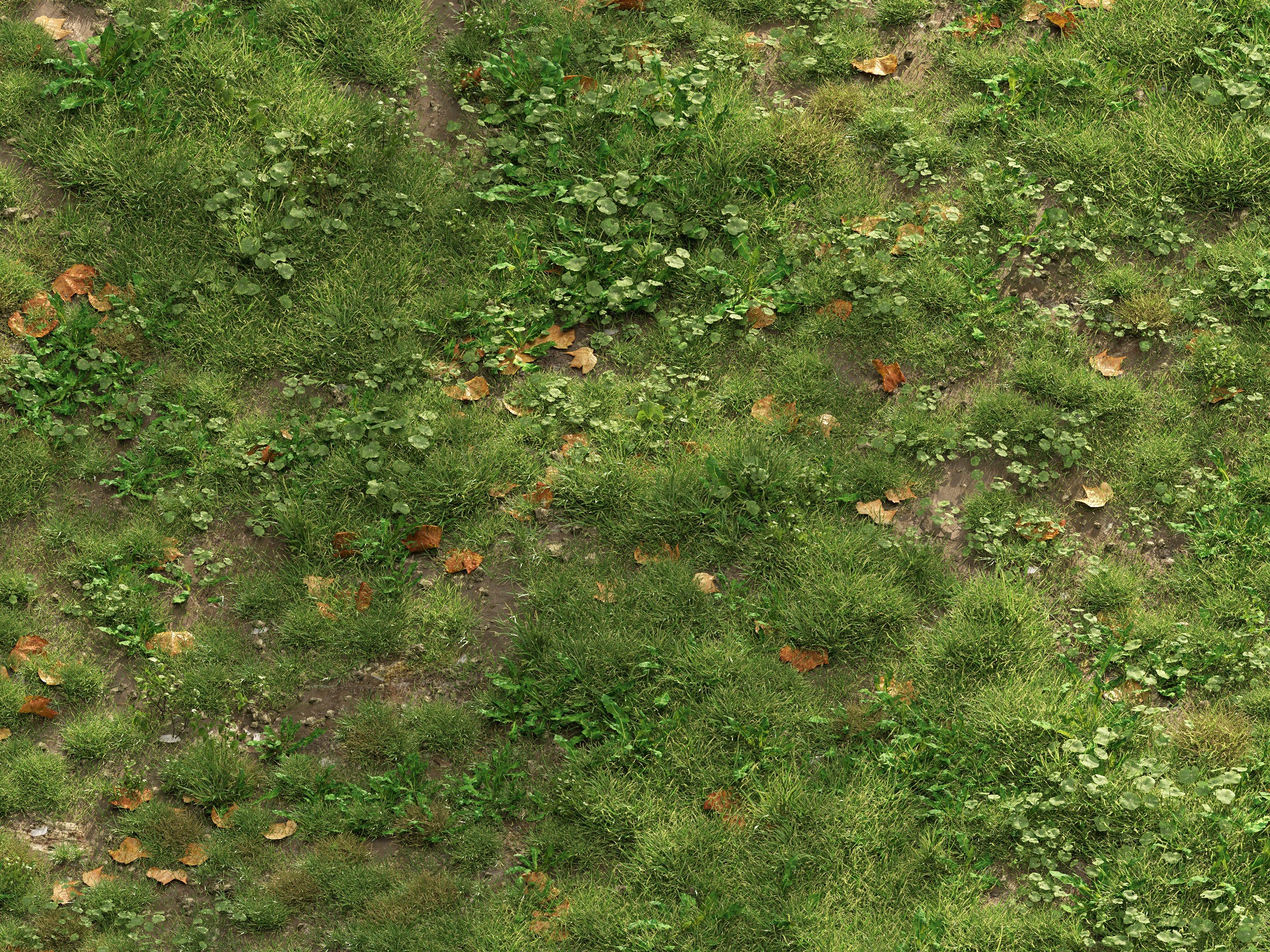 GR06 | NM-Lab System™