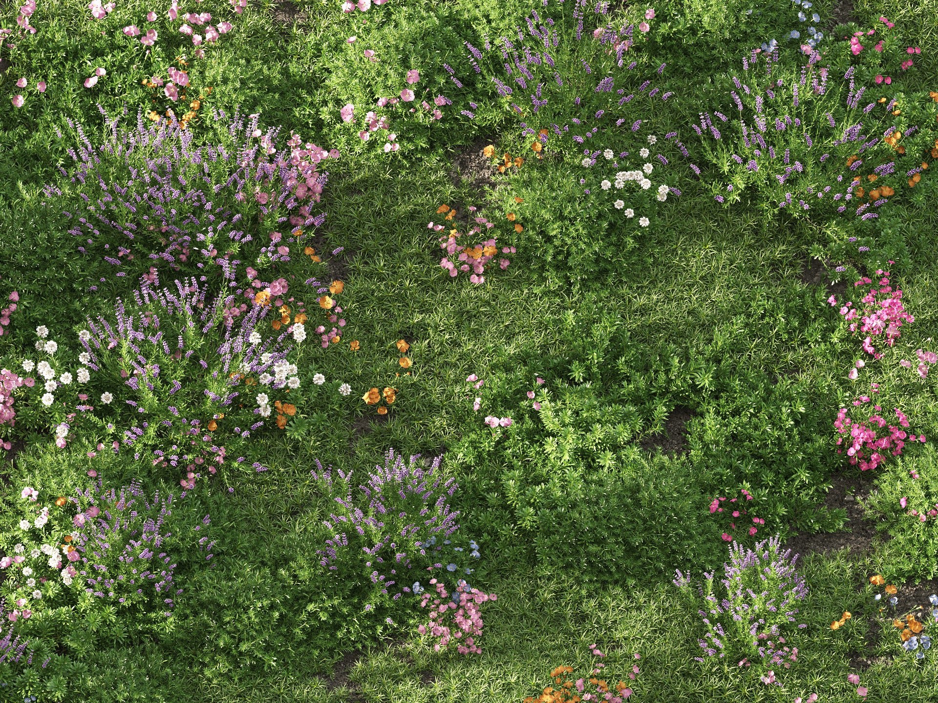 GR07 | NM-Lab System™