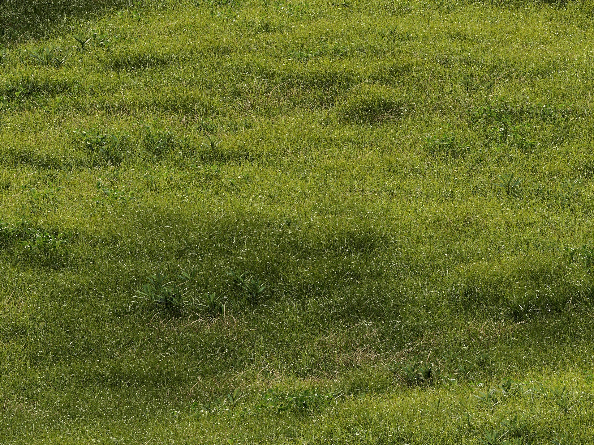 GR08 | NM-Lab System™