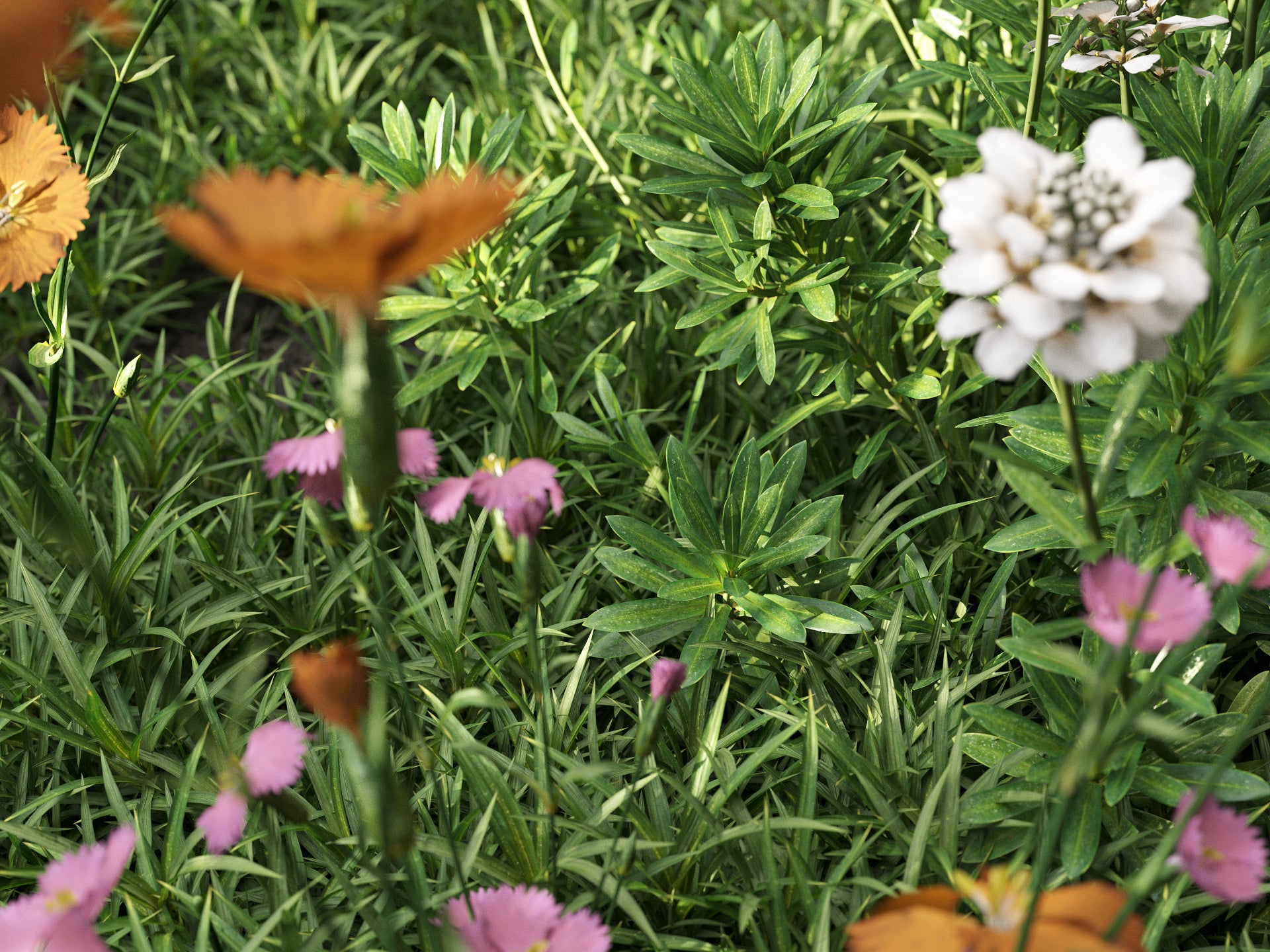 GR07 | NM-Lab System™