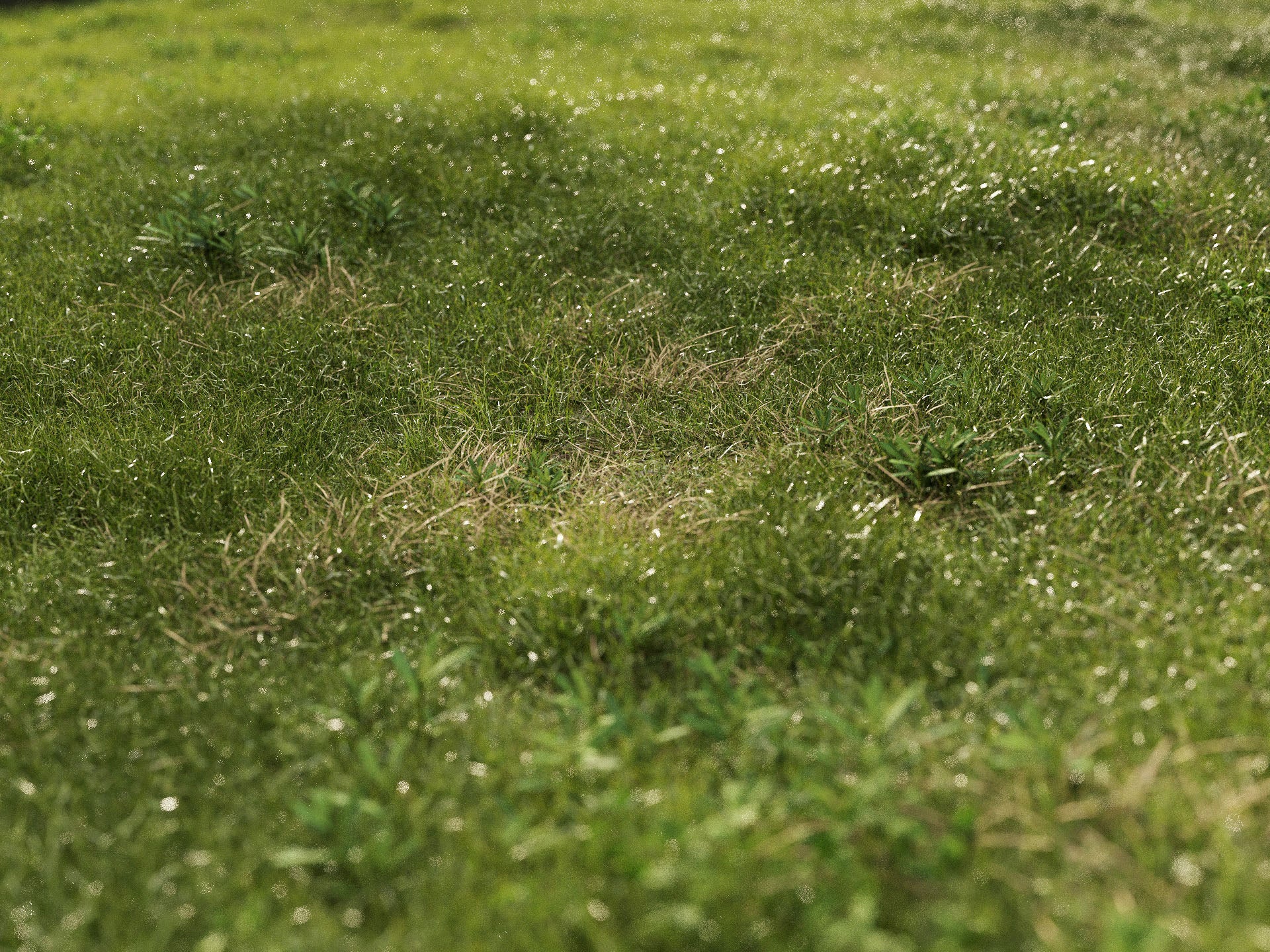 GR08 | NM-Lab System™