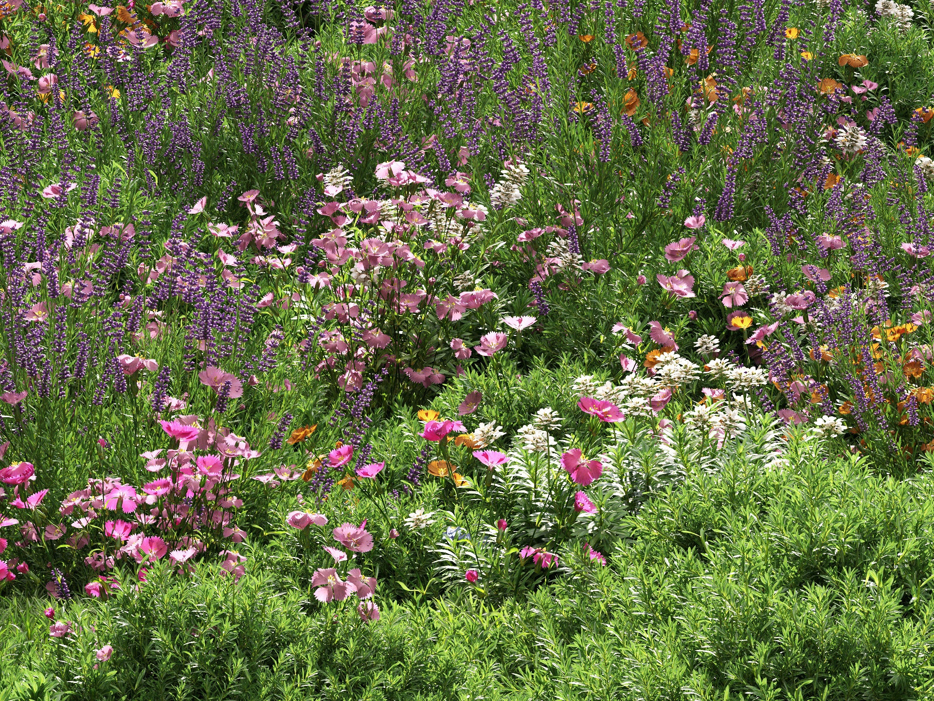 GR07 | NM-Lab System™