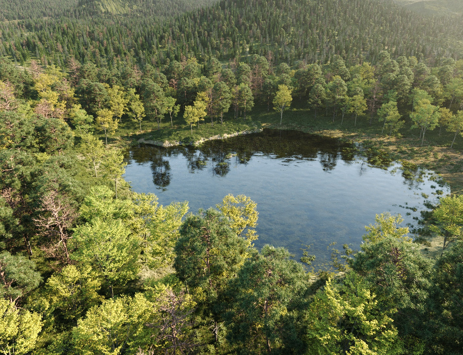 Beaver Lake Pack - Nouvelle Mesure Lab