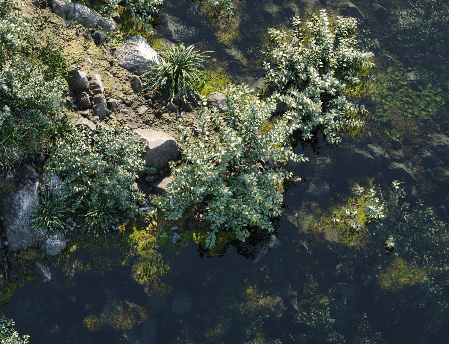 Beaver Lake Pack - Nouvelle Mesure Lab