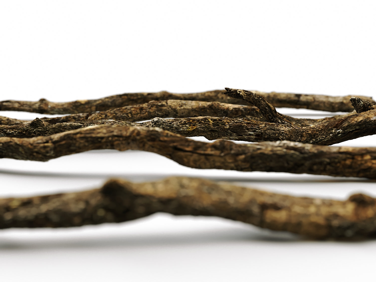 Branches Set 02 - Nouvelle Mesure Lab