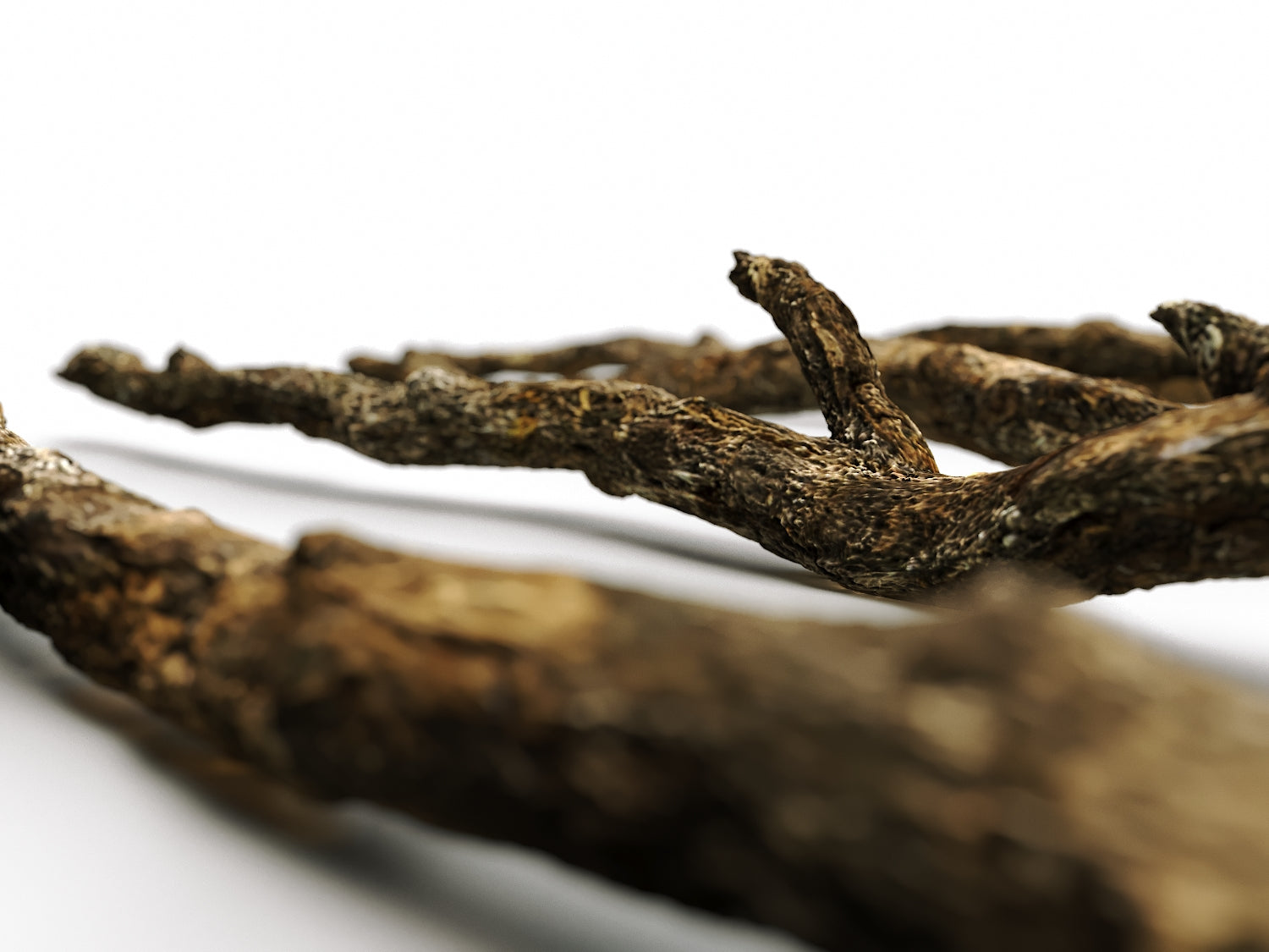 Branches Set 02 - Nouvelle Mesure Lab