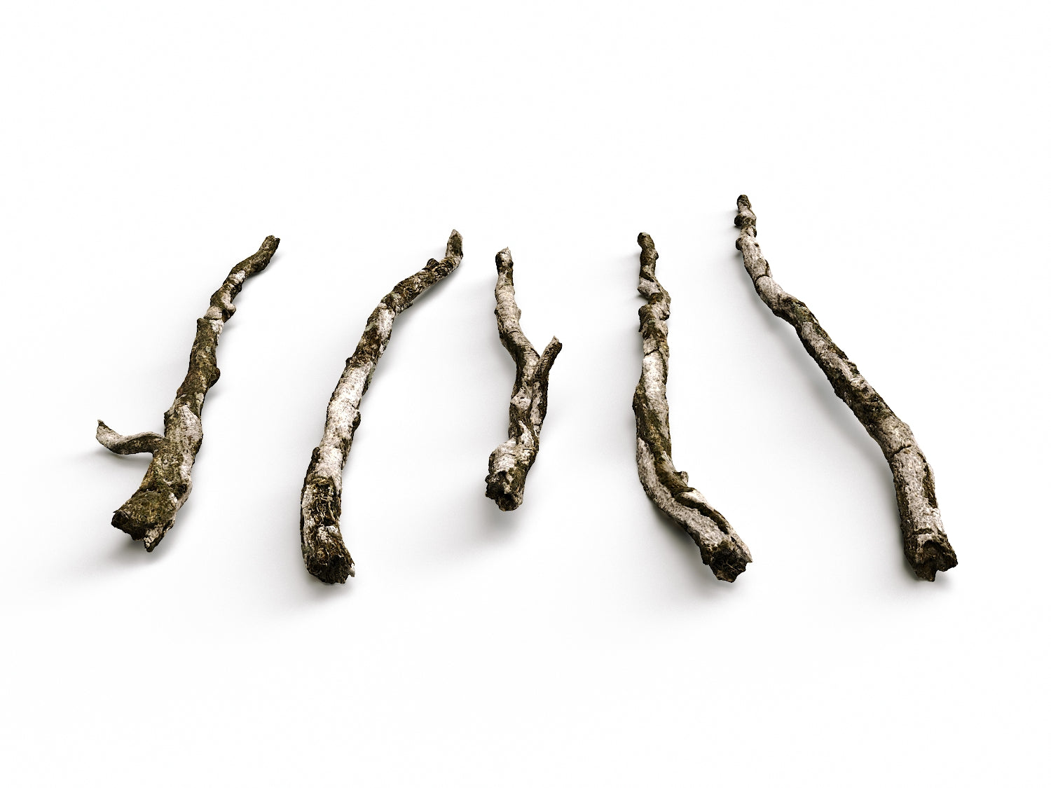 Branches Set 04 - Nouvelle Mesure Lab