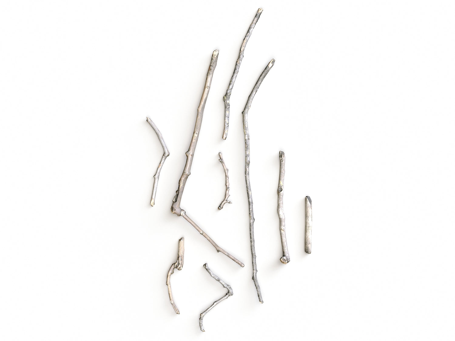 Branches Set 01 - Nouvelle Mesure Lab