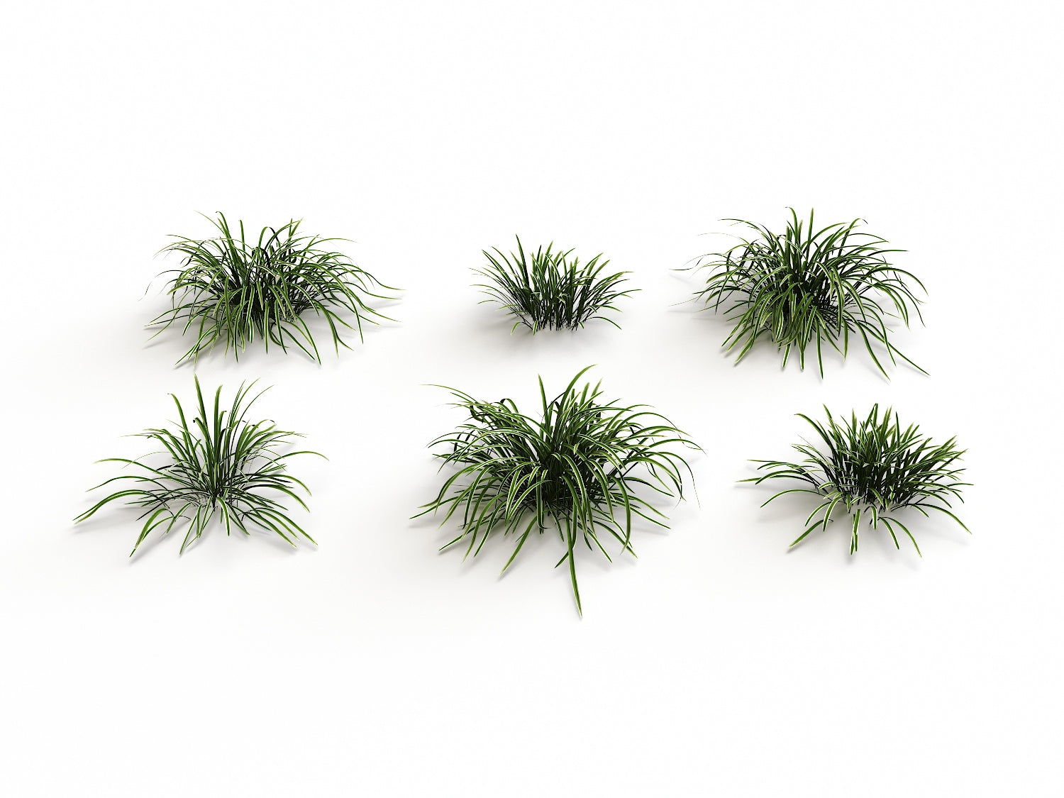 Carex Set - Nouvelle Mesure Lab