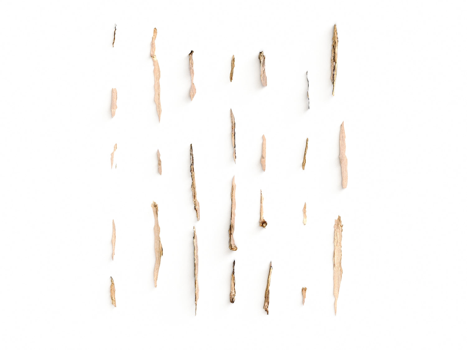 Wood Chunks Set - Nouvelle Mesure Lab