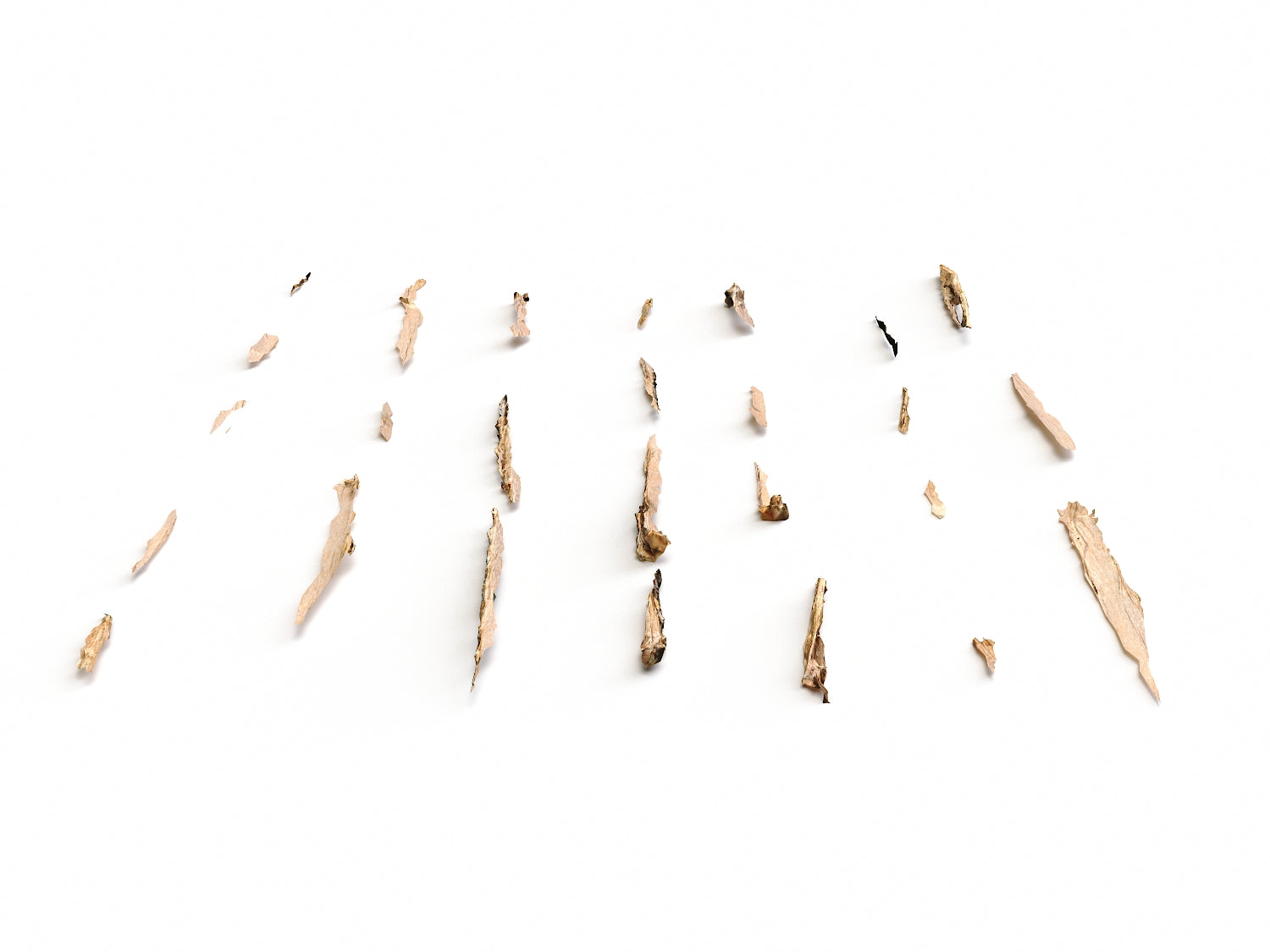Wood Chunks Set - Nouvelle Mesure Lab