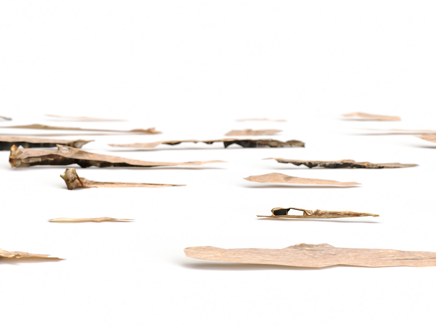 Wood Chunks Set - Nouvelle Mesure Lab