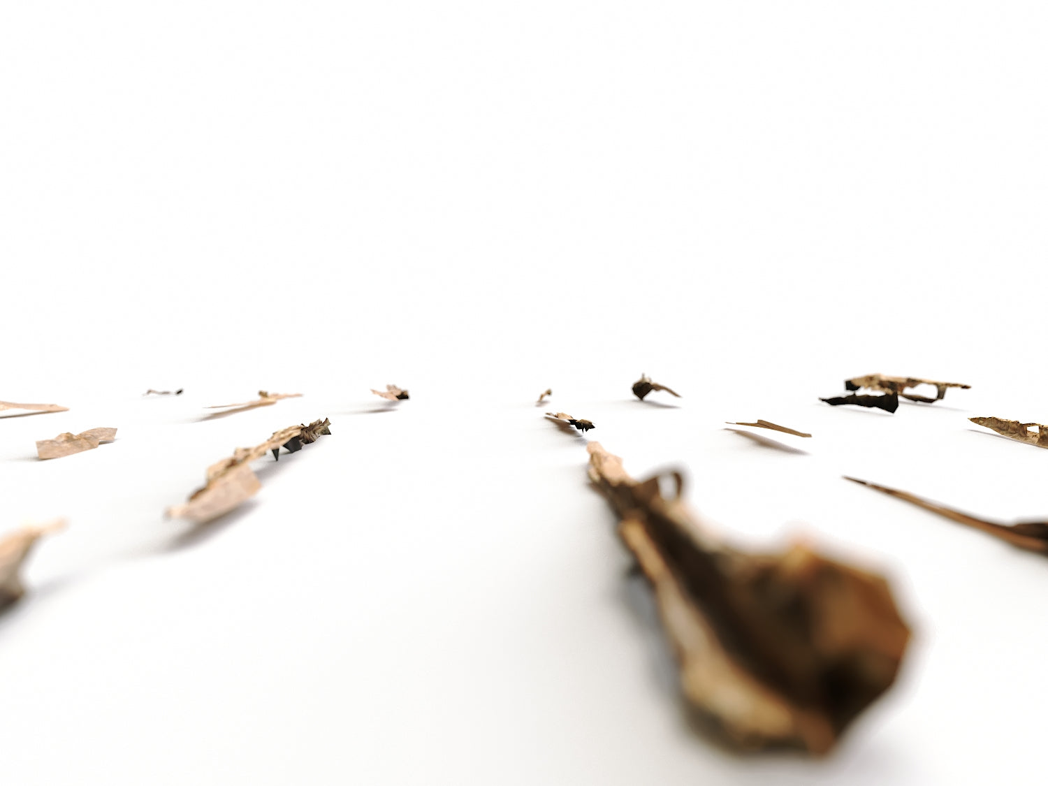 Wood Chunks Set - Nouvelle Mesure Lab