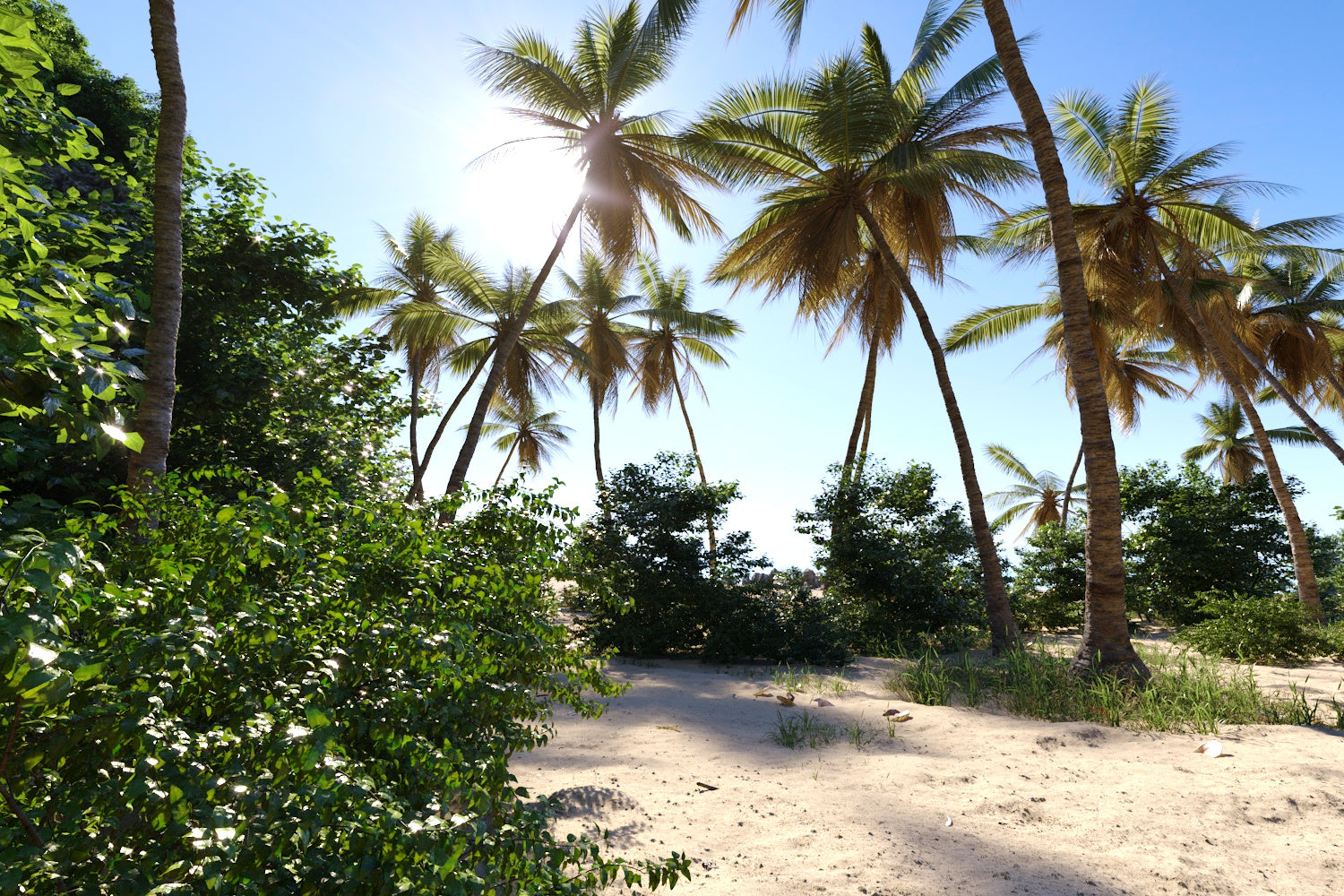 Daria Coastal Pack - Nouvelle Mesure Lab