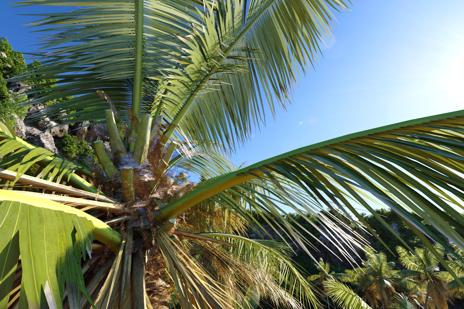 Daria Coastal Pack - Nouvelle Mesure Lab