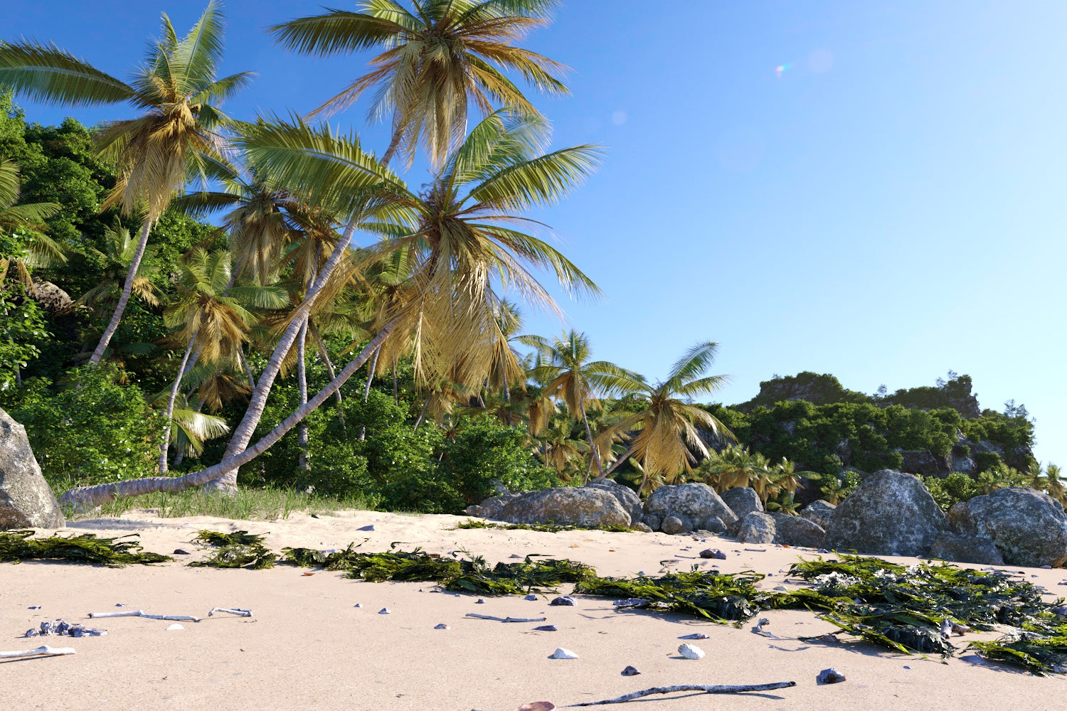 Daria Coastal Pack - Nouvelle Mesure Lab