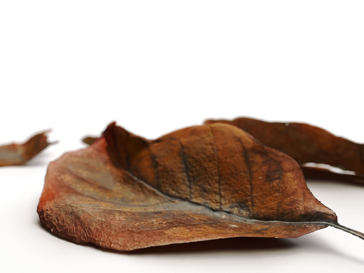 Dead Leaves Set 02 - Nouvelle Mesure Lab