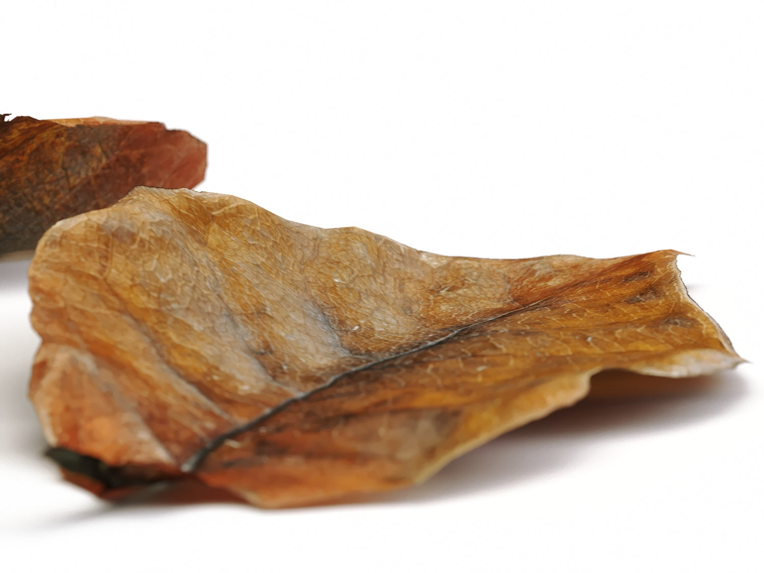 Dead Leaves Set 02 - Nouvelle Mesure Lab