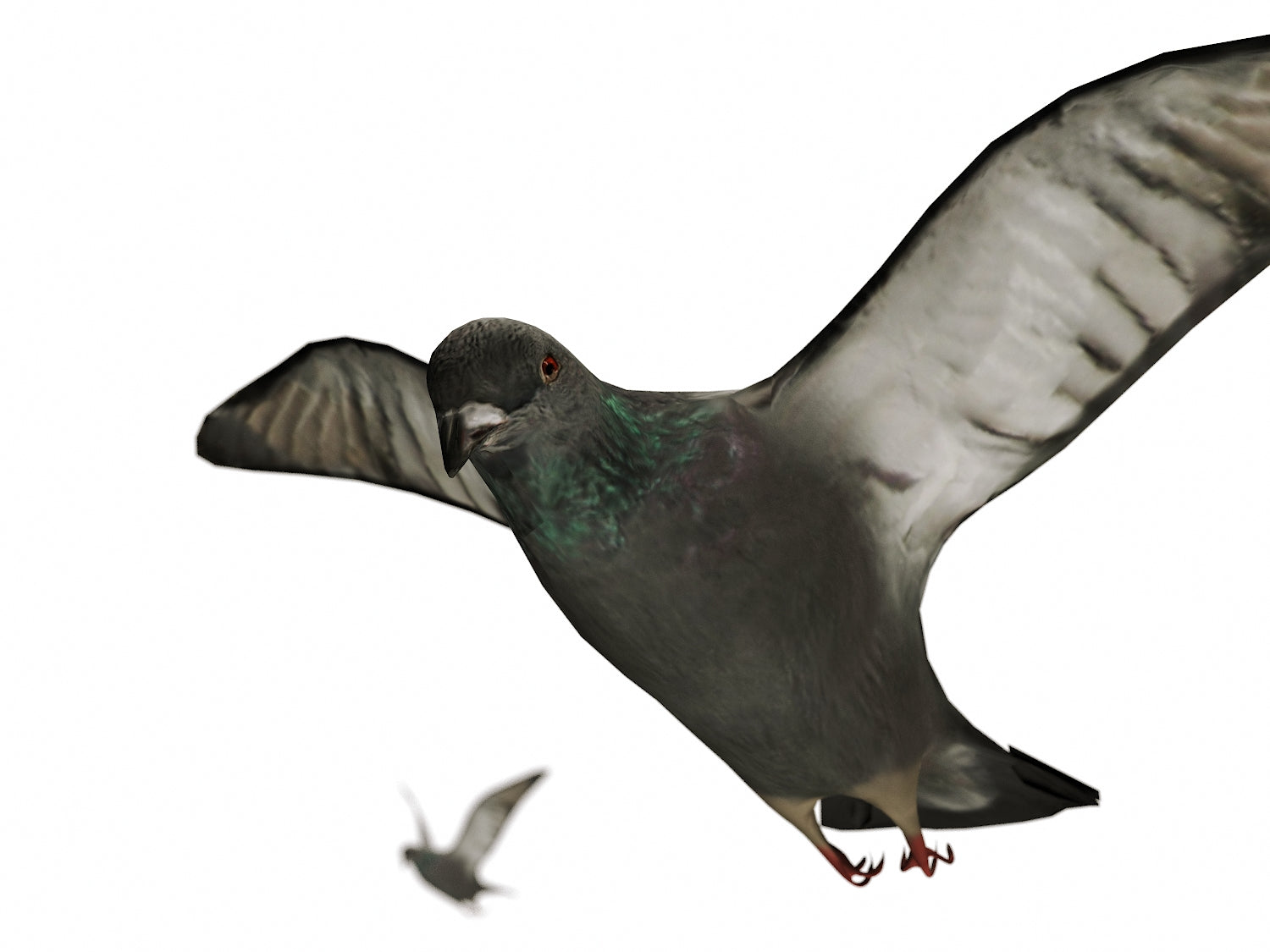 Flying Pigeons Set - Nouvelle Mesure Lab