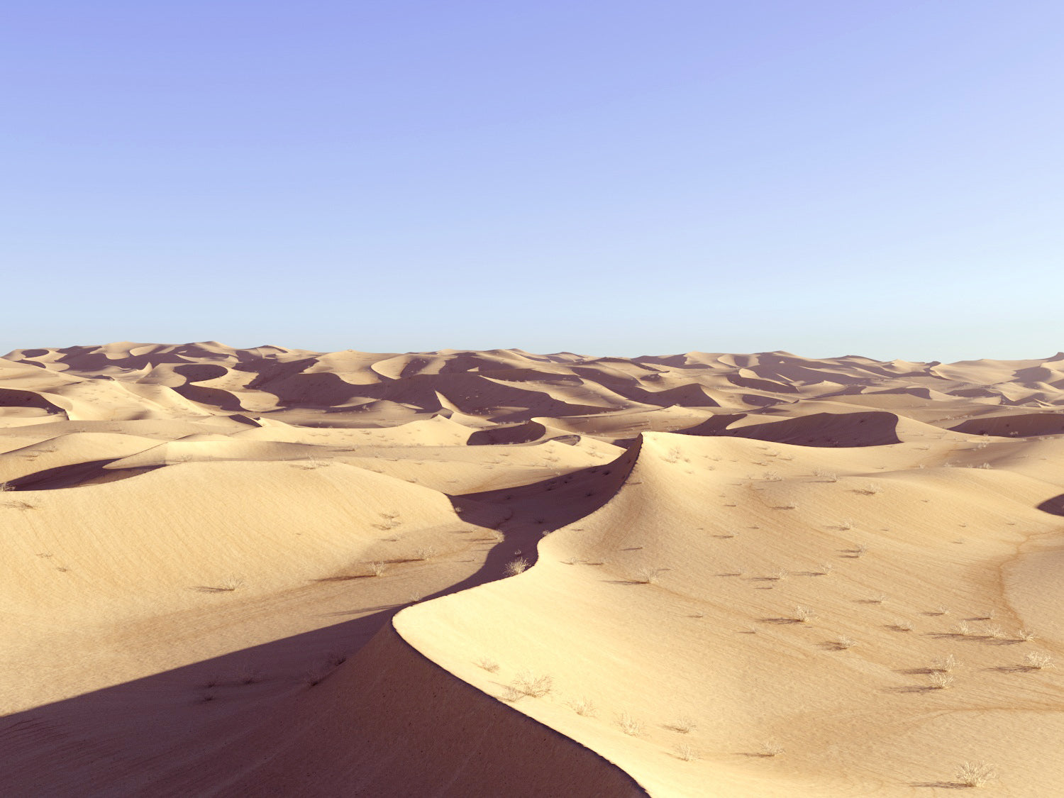 Lawrence Desert Pack - Nouvelle Mesure Lab