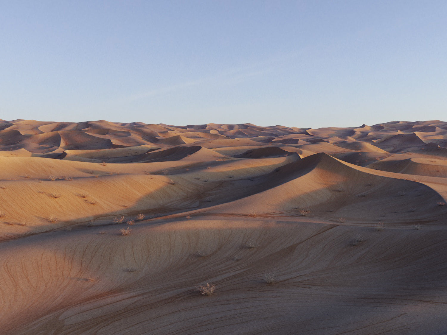 Lawrence Desert Pack - Nouvelle Mesure Lab