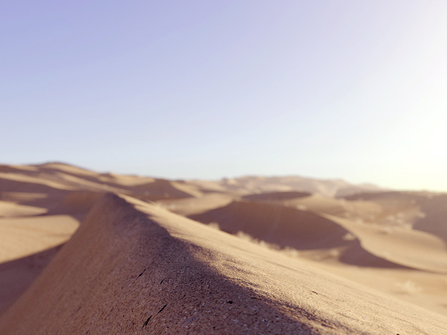 Lawrence Desert Pack - Nouvelle Mesure Lab