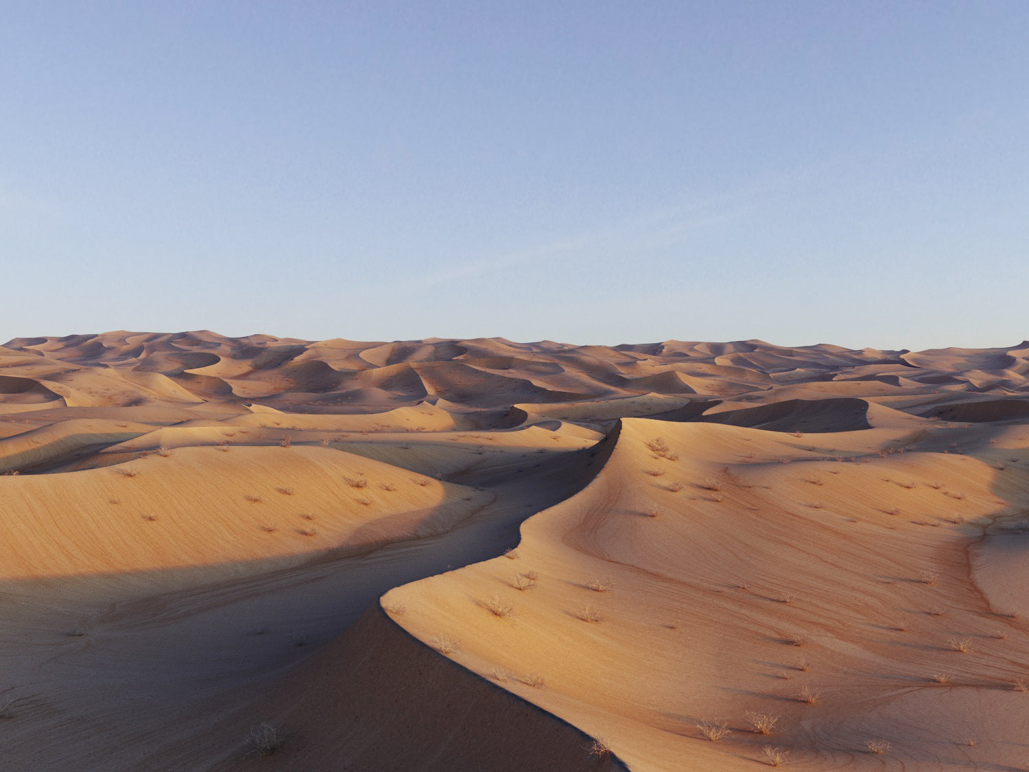 Lawrence Desert Pack - Nouvelle Mesure Lab