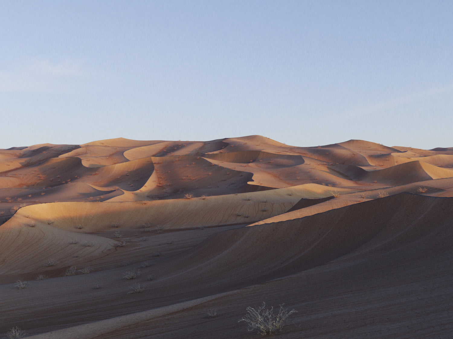 Lawrence Desert Pack - Nouvelle Mesure Lab