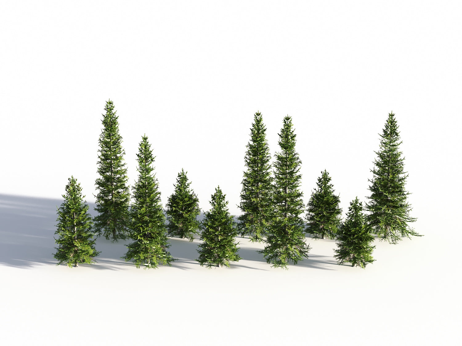 Low Poly Fir Tree Set - Nouvelle Mesure Lab