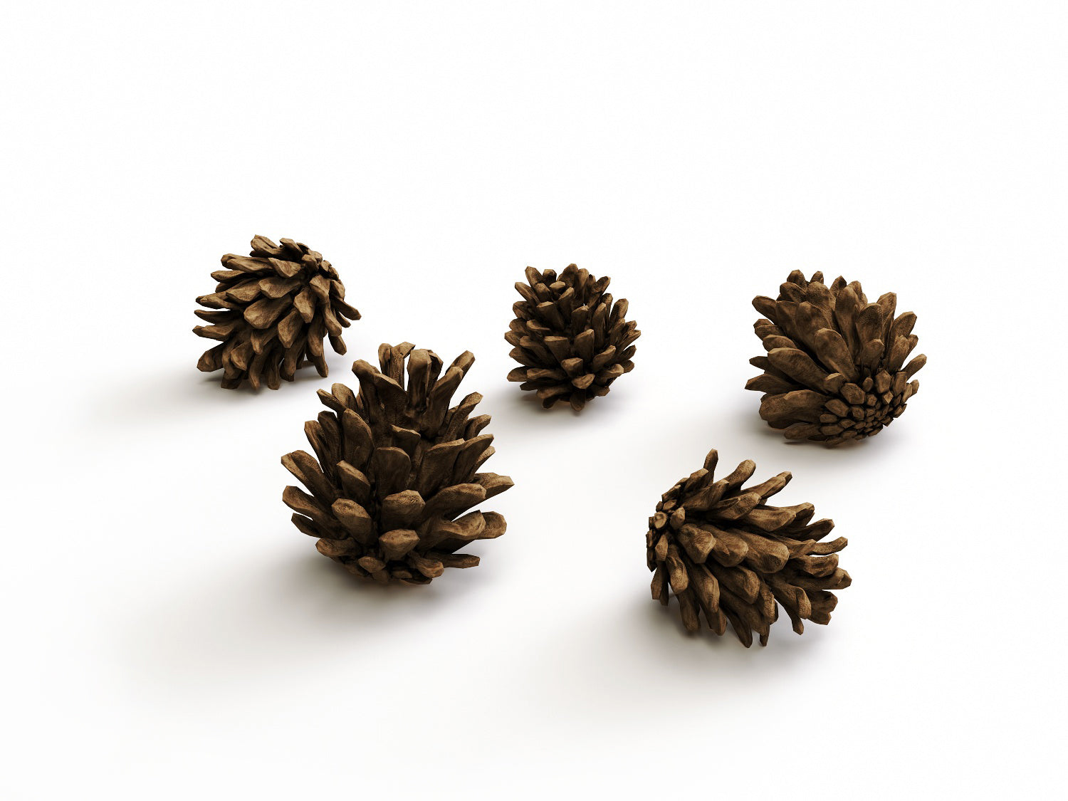 Pine Cone Set (Free)