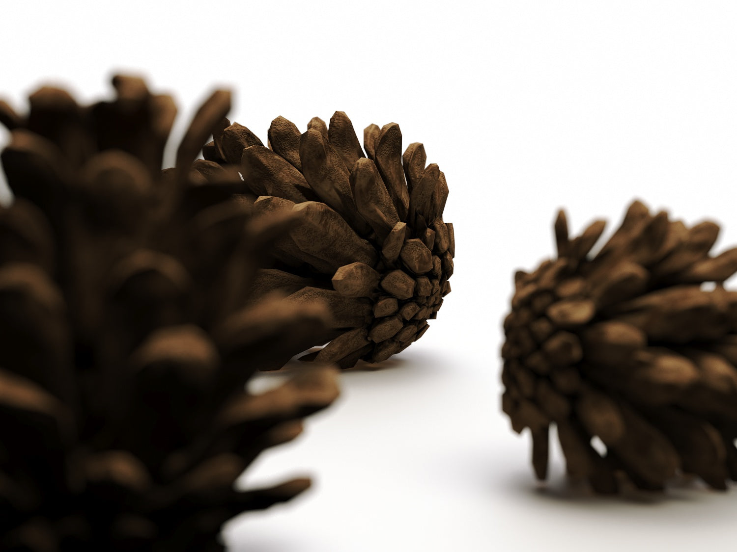 Pine Cone Set (Free)